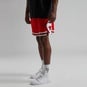 NBA CHICAGO BULLS DRI-FIT ICON SWINGMAN SHORTS  large image number 3